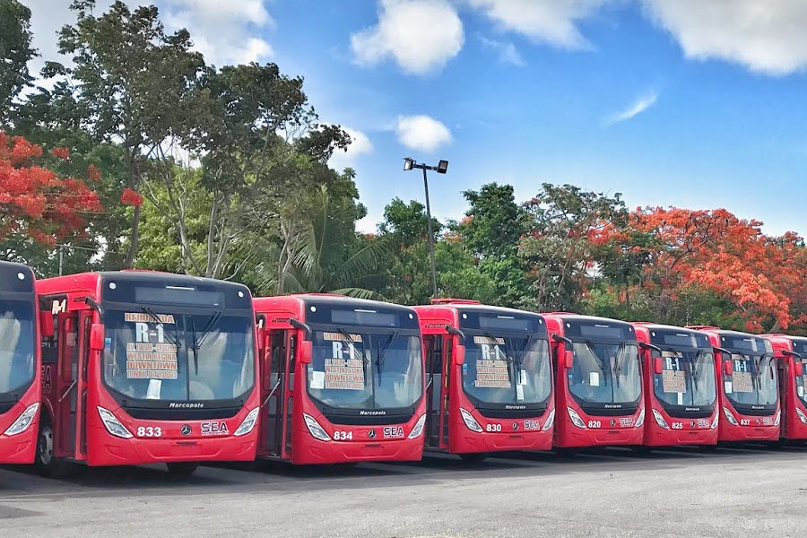 Autobuses de SEA