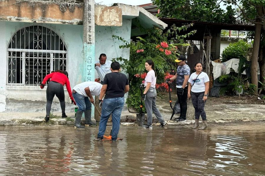 limpieza en Chetumal