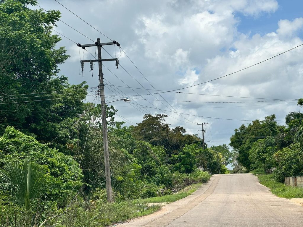 Sin luz 6 comunidades de FCP, por limpieza bajo líneas de conducción